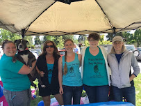 Krazy Kritter Dog Walking and Pet Sitting - Photo 6 - Car repair in , Medford