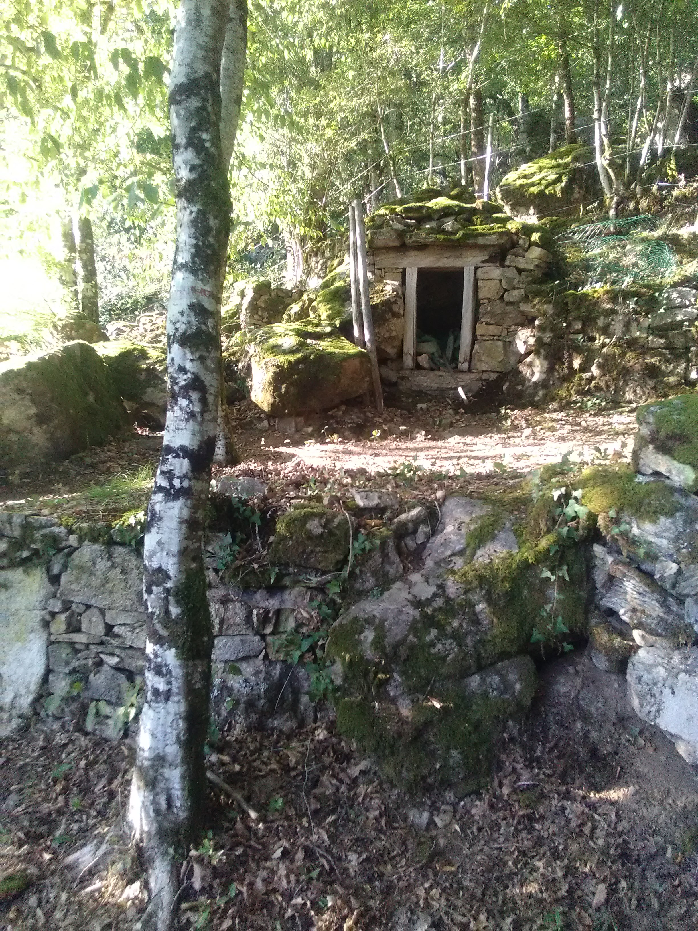 Photo n° 7 de l'avis de GoutteGoutte.. fait le 10/09/2019 à 20:16