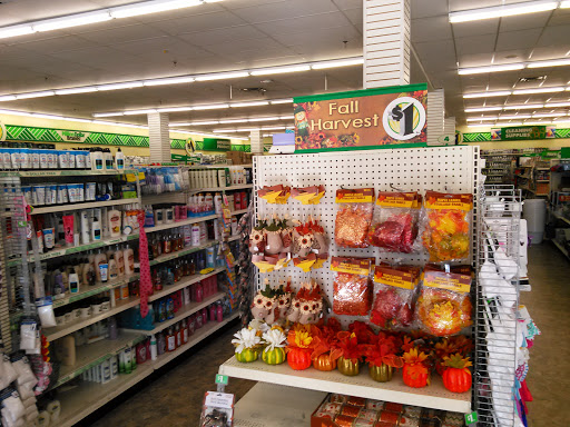 Dollar Store «Dollar Tree», reviews and photos, 235 Prospect Ave, West Orange, NJ 07052, USA