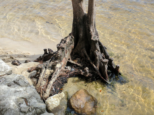 Park «Lake Mills Park», reviews and photos, 1301 Tropical Ave, Chuluota, FL 32766, USA