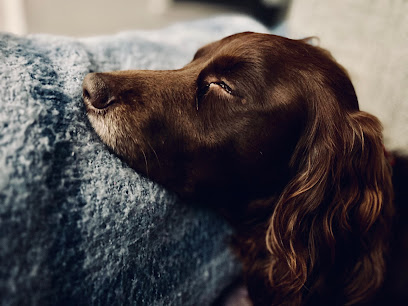 Happy Pets Home Boarding