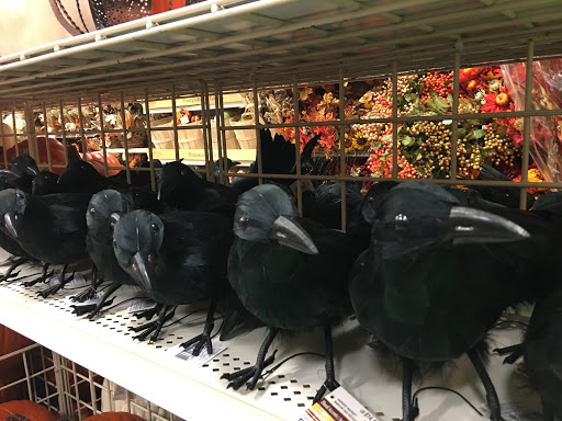 Craft Store «Michaels», reviews and photos, 3655 Washtenaw Ave, Ann Arbor, MI 48104, USA