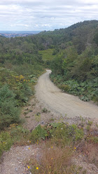 Experiencia Lemu - Chiloé