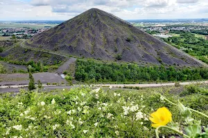 Terril De Loos En Gohelle image