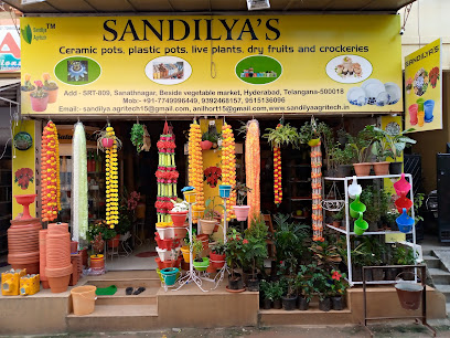 SANDILYA'S