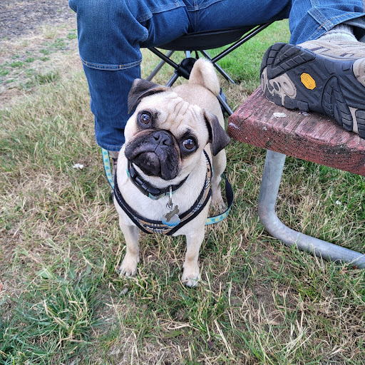 Pet Supply Store «Petco Animal Supplies», reviews and photos, 8775 SW Tualatin-Sherwood Rd, Tualatin, OR 97062, USA