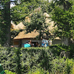 Photo n°1 de l'avis de Sylvio.c fait le 16/07/2023 à 17:29 sur le  Haases Eishütte à Putbus