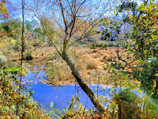 Nature Preserve «Blue Heron Nature Preserve», reviews and photos, 4055 Roswell Rd NE, Atlanta, GA 30342, USA