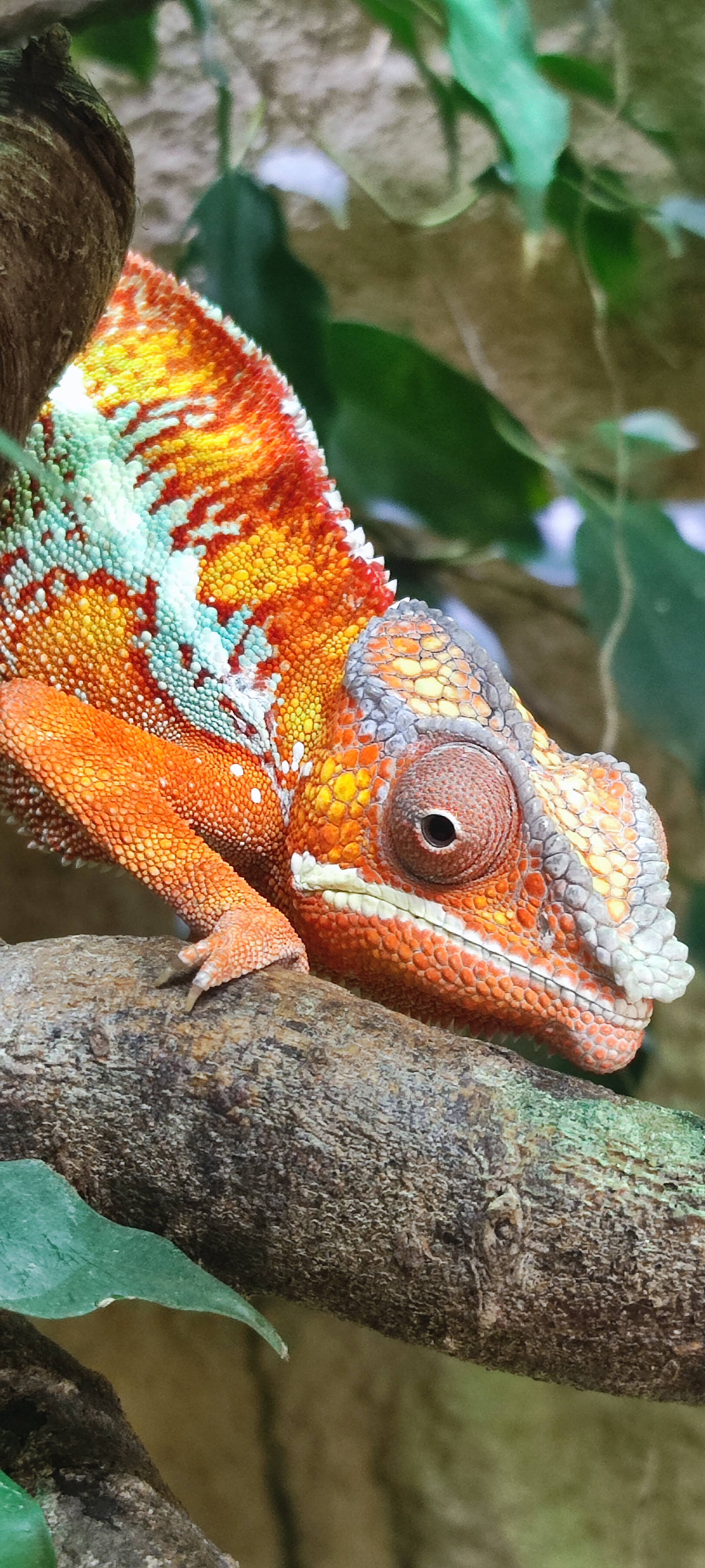 Photo n° 8 de l'avis de Léa.a fait le 07/09/2023 à 11:37