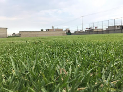 Arroyo Football Field
