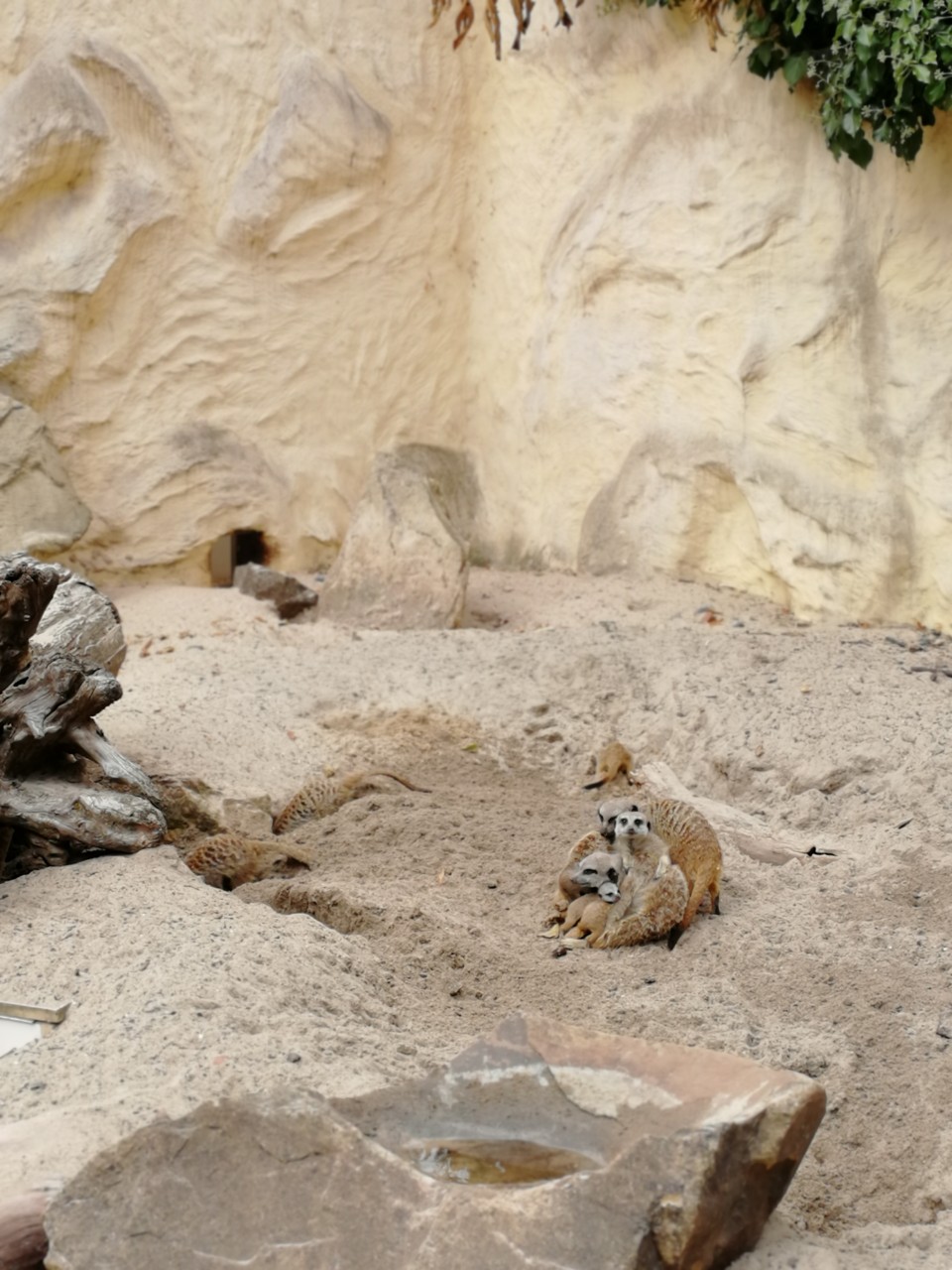 Photo n° 6 de l'avis de Amine.U fait le 09/09/2019 à 14:00