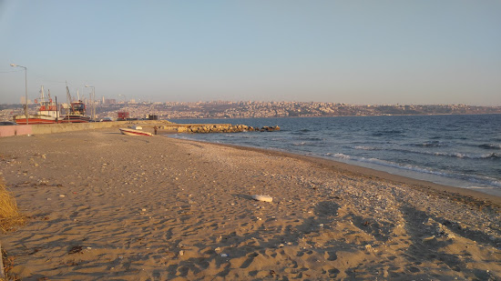 Mimar Sinan Sahil