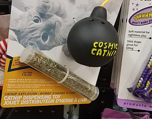 Pet Supply Store «Petco Animal Supplies», reviews and photos, 3201 Bee Cave Rd #117, Austin, TX 78746, USA