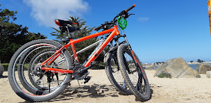 Photo n°9 de Le Vel'Hop location vélo Noirmoutier à Noirmoutier-en-l'Île ()