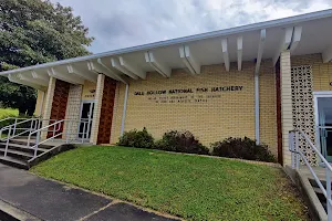 Dale Hollow National Fish Hatchery Aquarium and Visitor Center image