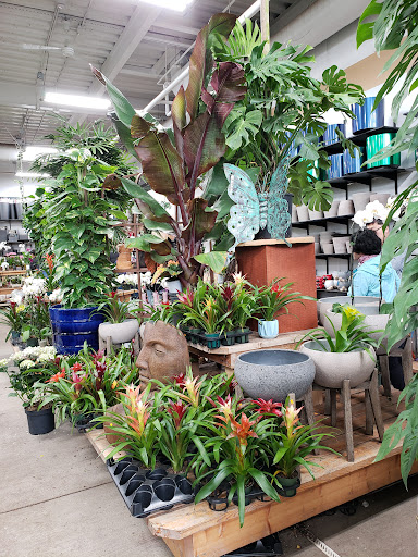 Florist «Metropolitan Plant & Flower Exchange Inc.», reviews and photos, 2125 Fletcher Ave, Fort Lee, NJ 07024, USA