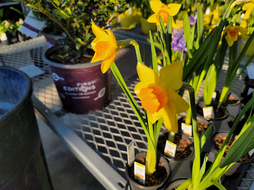 Home Improvement Store «The Home Depot», reviews and photos, 5455 Fairmont Pkwy, Pasadena, TX 77505, USA