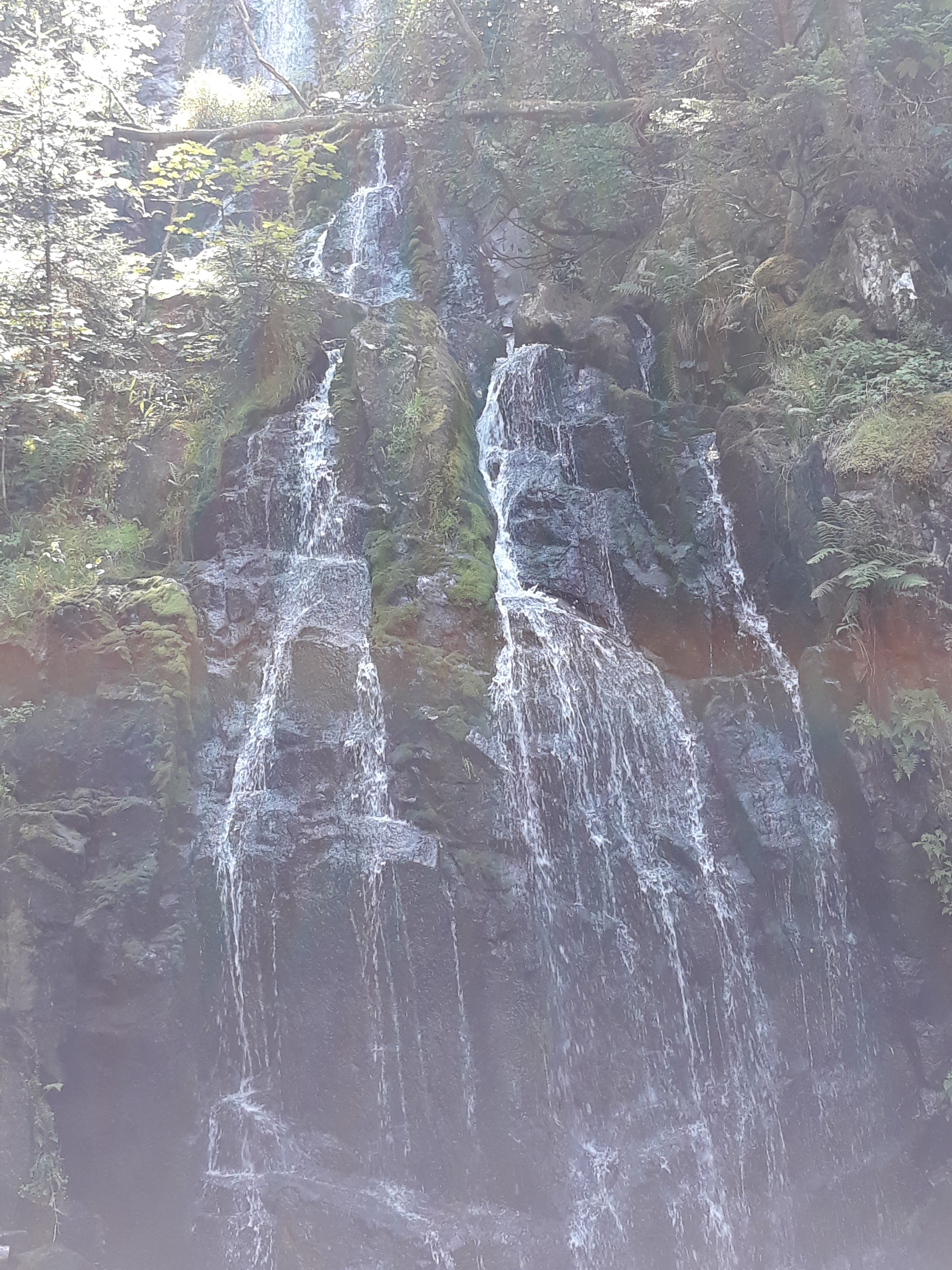 Photo n° 5 de l'avis de Housni.b fait le 28/07/2018 à 13:17