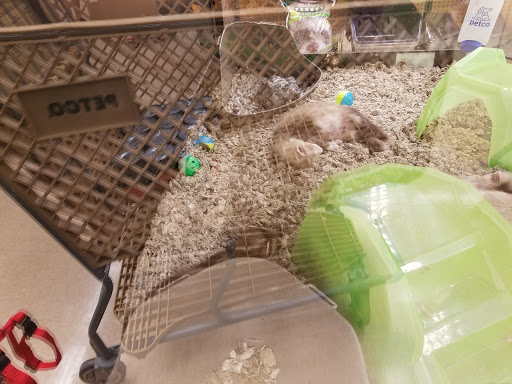 Pet Supply Store «Petco Animal Supplies», reviews and photos, 2095 N Harris Blvd, Layton, UT 84041, USA