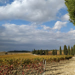 Photo n°15 de l'avis de Massimo.o fait le 09/11/2018 à 05:19 sur le  Podere Il Casale à Pienza