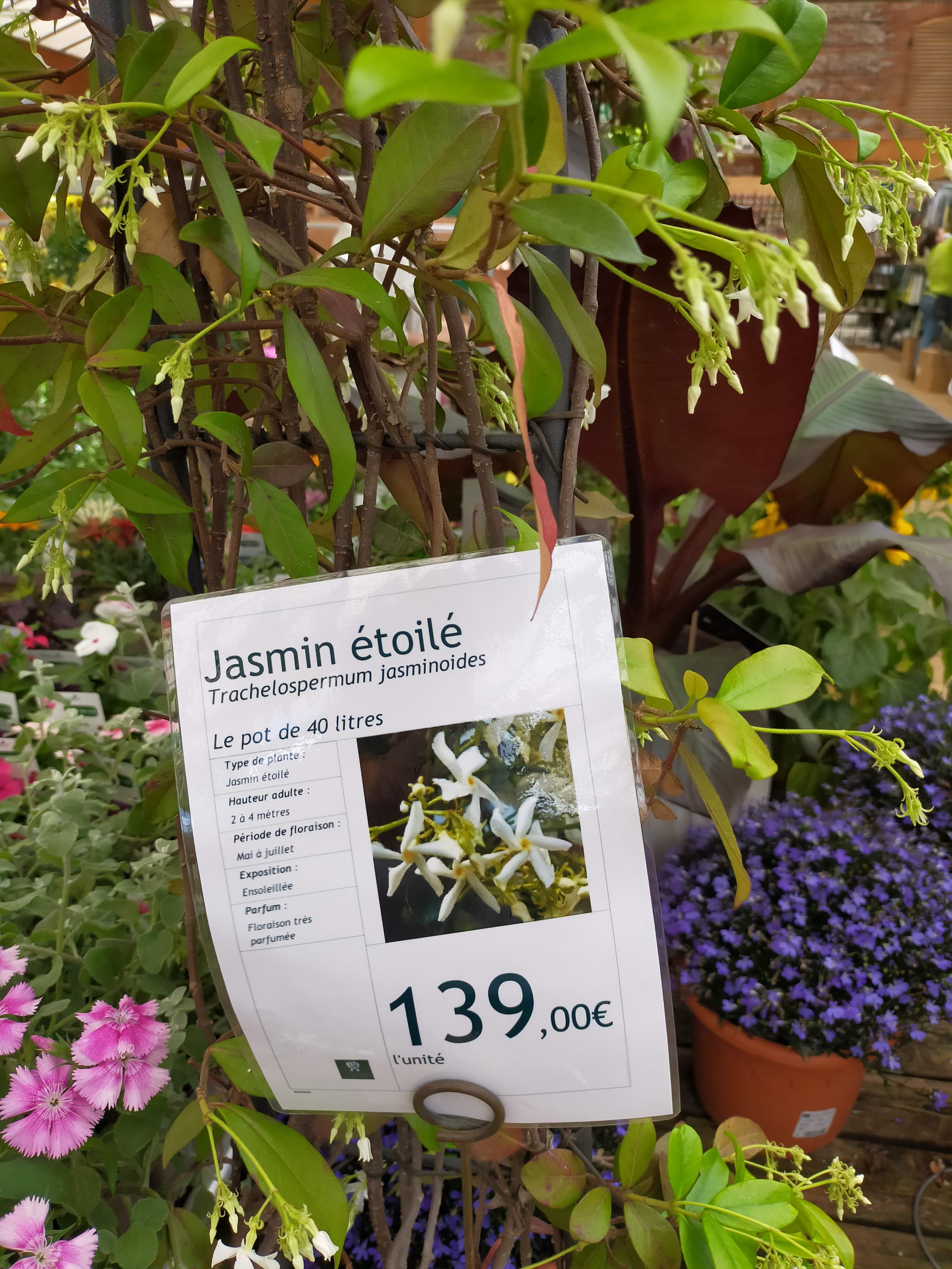Photo n° 4 de l'avis de JHK. fait le 04/07/2021 à 17:49