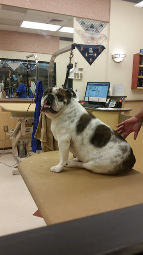 Pet Supply Store «PetSmart», reviews and photos, 4180 US-1, Monmouth Junction, NJ 08852, USA