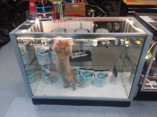 Bicycle Store «Bicycle Experience», reviews and photos, 1601 S Tejon St, Colorado Springs, CO 80905, USA