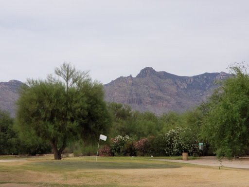 Golf Course «Quail Canyon Golf Course», reviews and photos, 5910 N Oracle Rd, Tucson, AZ 85704, USA