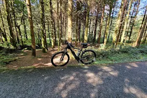 Afan Forest Mountain Bike Trails image