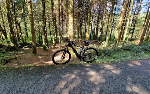 Afan Forest Mountain Bike Trails image