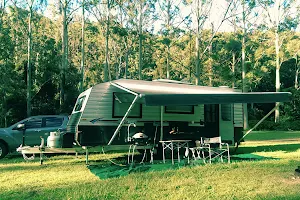 Manna Gum camping area image