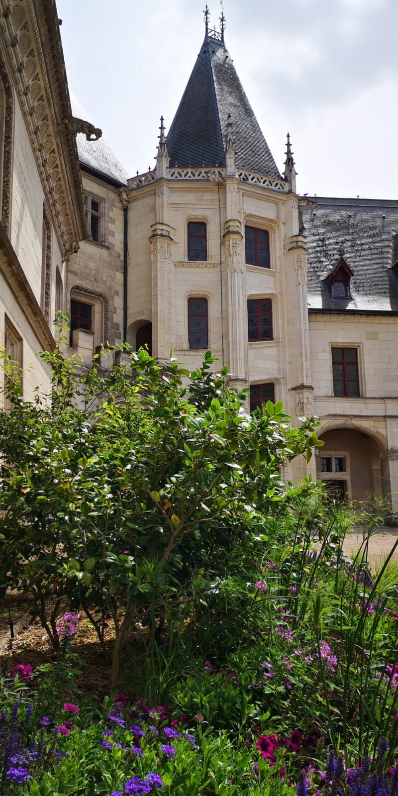 Photo n° 2 de l'avis de Kevin.m fait le 19/07/2019 à 07:27