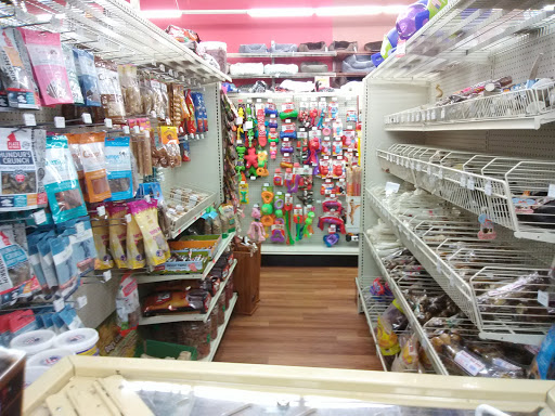 Pet Supply Store «Pet Supermarket», reviews and photos, 465 State Rd 13, Fruit Cove, FL 32259, USA