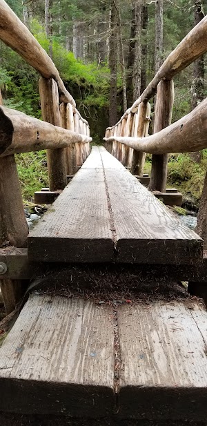 Herring cove trail Sitka - photo 33