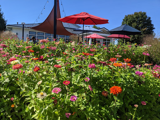 Winery «Bel Lago Vineyards & Winery», reviews and photos, 6530 S Lake Shore Dr, Cedar, MI 49621, USA