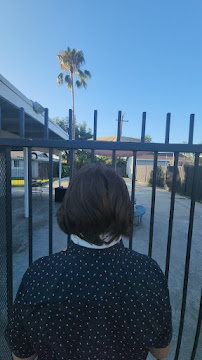 Pine Tree Acupuncture - Photo 8 - Car repair in Fullerton, CA, Garden Grove