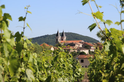 Domaine Antoine SUNIER à Régnié-Durette