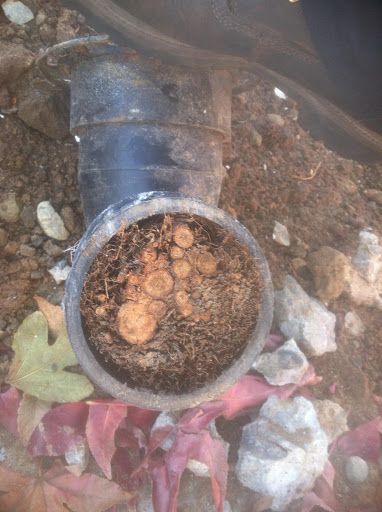 HVAC Contractor «Park Mechanical, Inc», reviews and photos, 8320 Luzon Ave, Sacramento, CA 95828, USA