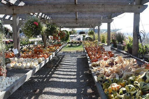 Produce Market «Kroul Farms», reviews and photos, 245 IA-1, Mt Vernon, IA 52314, USA