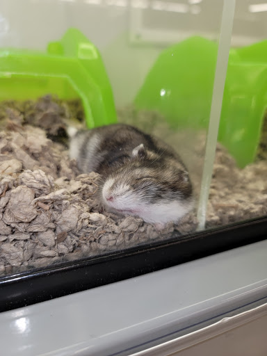 Pet Supply Store «Petco Animal Supplies», reviews and photos, 710 W 66th St, Richfield, MN 55423, USA