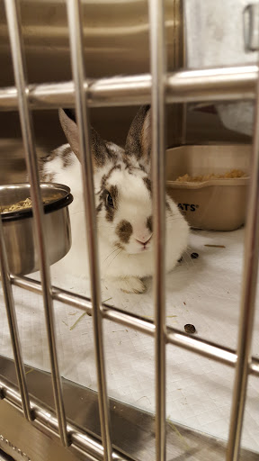 Pet Supply Store «PetSmart», reviews and photos, 9277 159th St, Orland Hills, IL 60487, USA