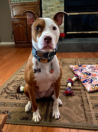 Mobile County Animal Shelter