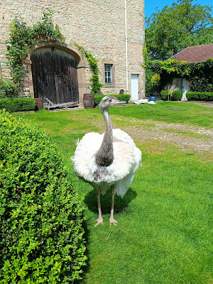 Kayros, chambres d'hôtes, ancienne ferme, hébergement studio ou chambre, piscine à Rugney