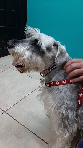 Hospital Veterinario Argos - Veterinario