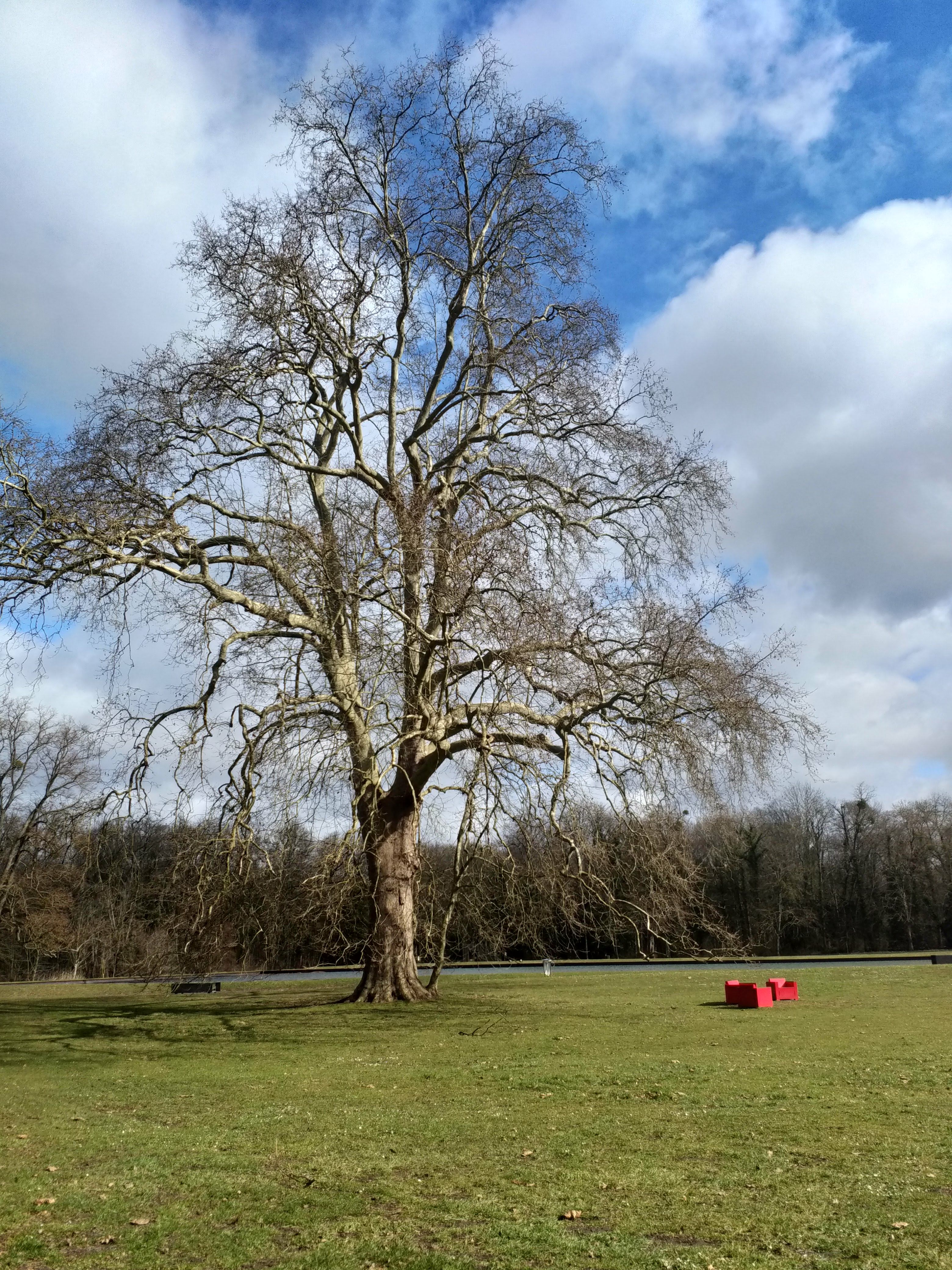 Photo n° 8 de l'avis de Françoise.E fait le 12/03/2021 à 11:33