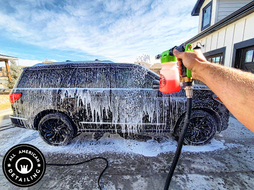 Tegridy Auto Detailing en Evans