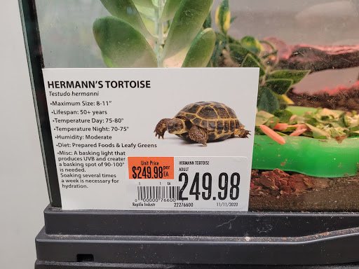 Pet Supply Store «Pet Supplies Plus», reviews and photos, 319 Massachusetts Ave, Lunenburg, MA 01462, USA