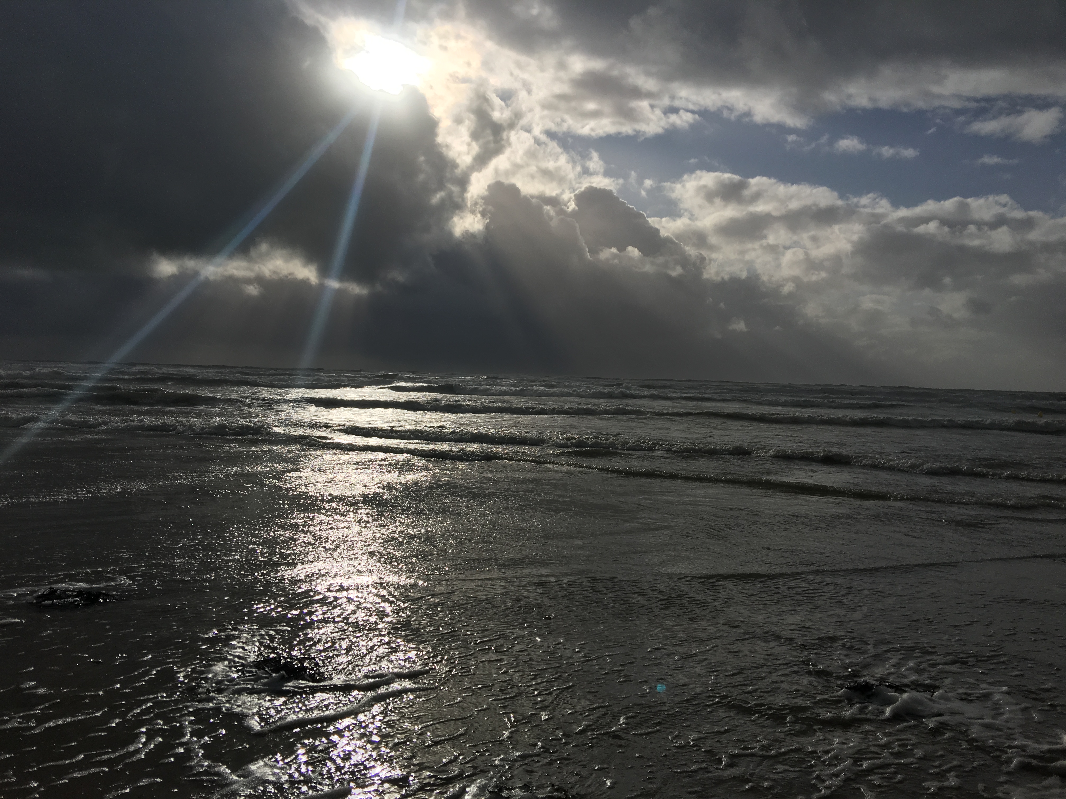 Photo n° 7 de l'avis de Alain.e fait le 17/02/2019 à 16:03