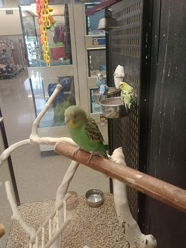Pet Supply Store «PetSmart», reviews and photos, 2026 Lincoln Way E, Massillon, OH 44646, USA