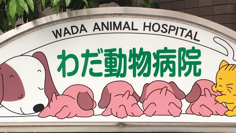わだ動物病院